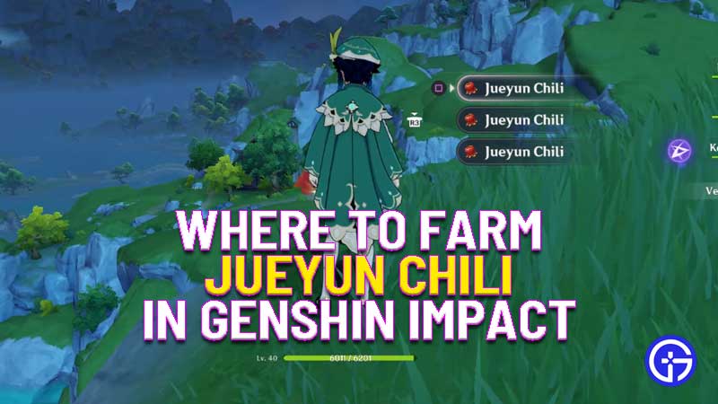 where to farm jueyun chili in genshin impact