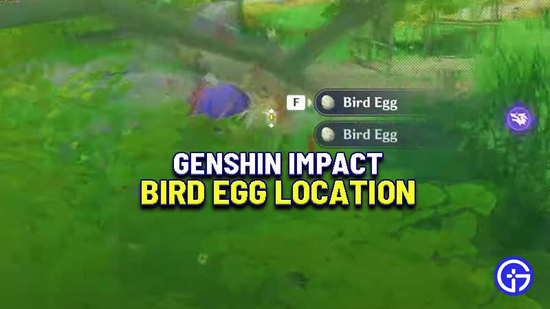 where-to-find-genshin-impact-bird-egg-location