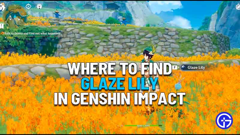 where to find glaze lily in genshin impact