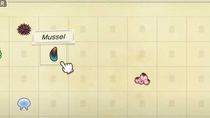 where-to-find-mussel-animal-crossing-new-horizons