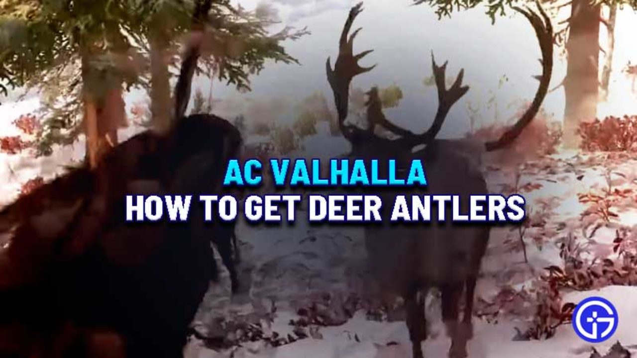 Ac Valhalla Where To Find Deer Antlers Reindeer Location - how to get spider antlers roblox