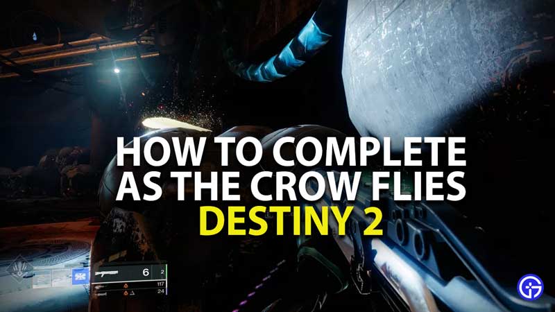 how to complete as the crow flies quest in destiny 2-