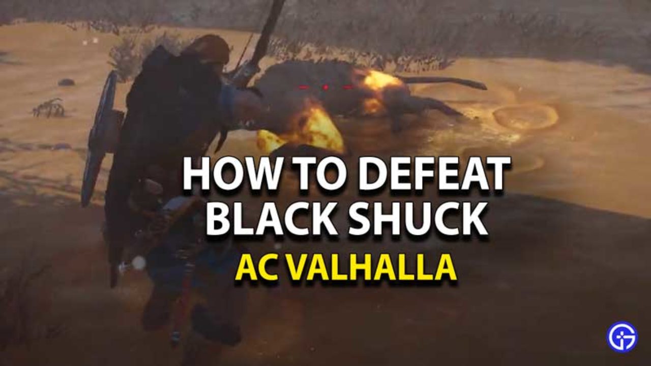 Ac Valhalla How To Beat Black Shuck Legendary Animal Boss - roblox assassin creator