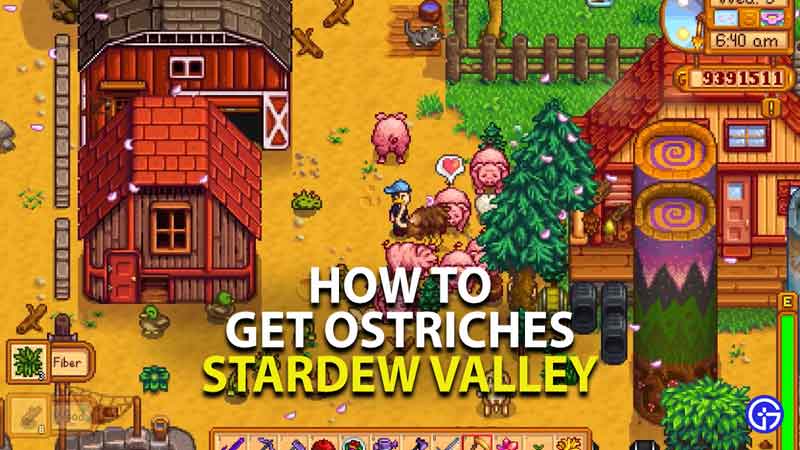 how to get ostriches in stardew valley