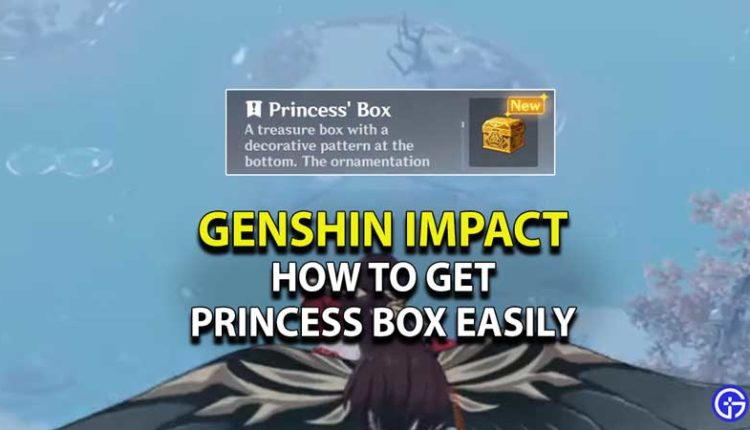 genshin princess box