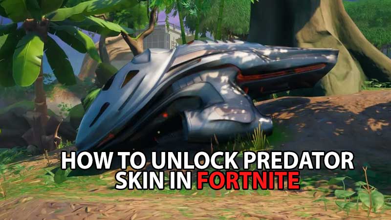 Fortnite Predator Skin Guide