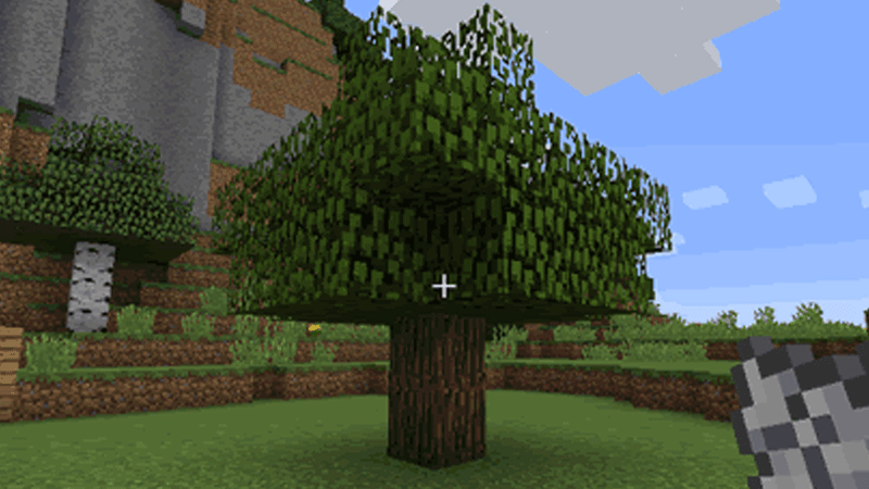 Grow Minecraft Tree Instantly