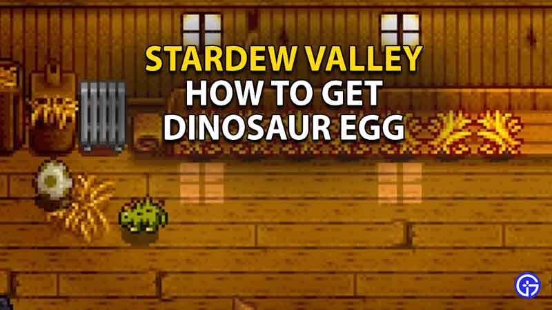 How To Get Dinosaur Egg In Stardew Valley
