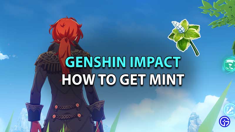 How To Get Mint In Genshin Impact
