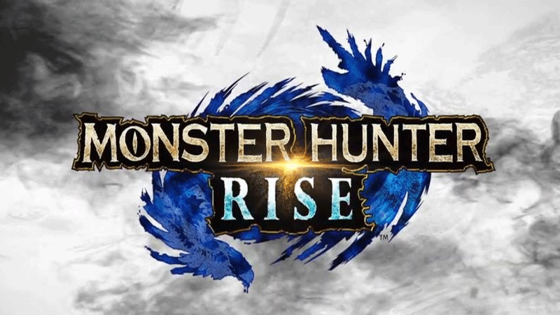 Monster Hunt Rise Controls Guide