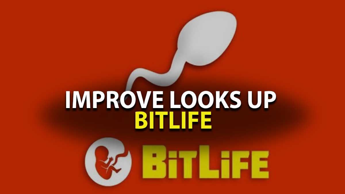 Bitlife Increase Looks Guide