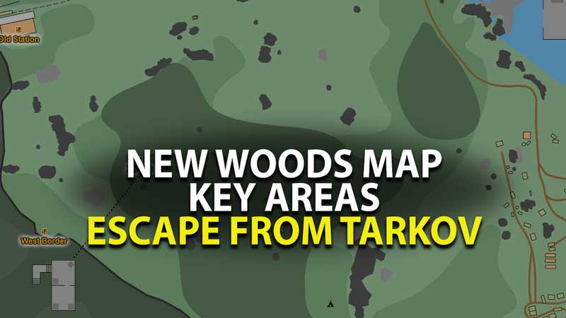 we escape from tarkov woods map