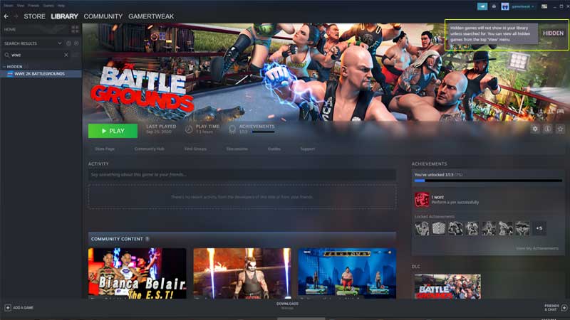 How to hide game activity on Steam (2022)? • TechBriefly