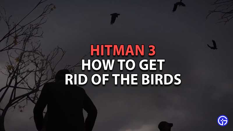 How to Get Rid of the Birds in Hitman 3