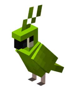 Minecraft Parrot Guide