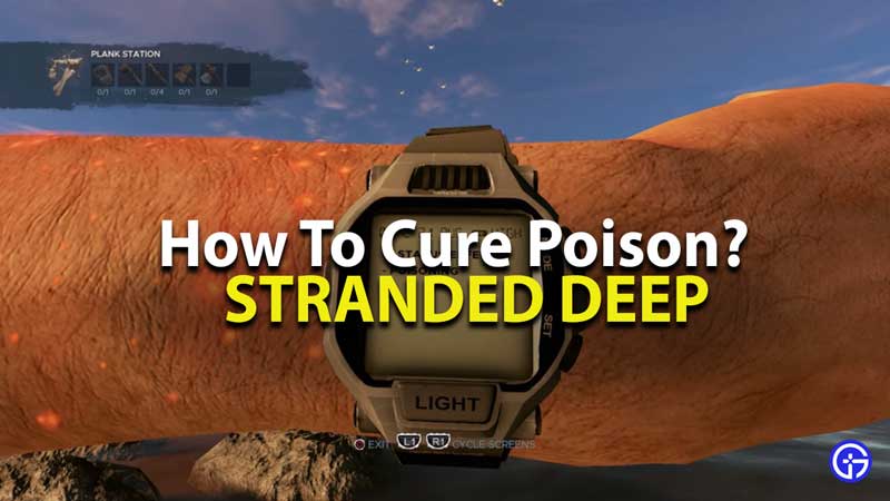 Cure Poison Stranded Deep