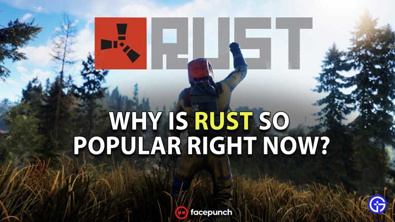 why-is-rust-so-popular-right-now