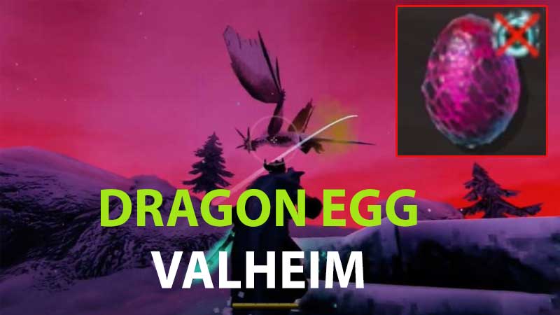 Dragon Egg Valheim