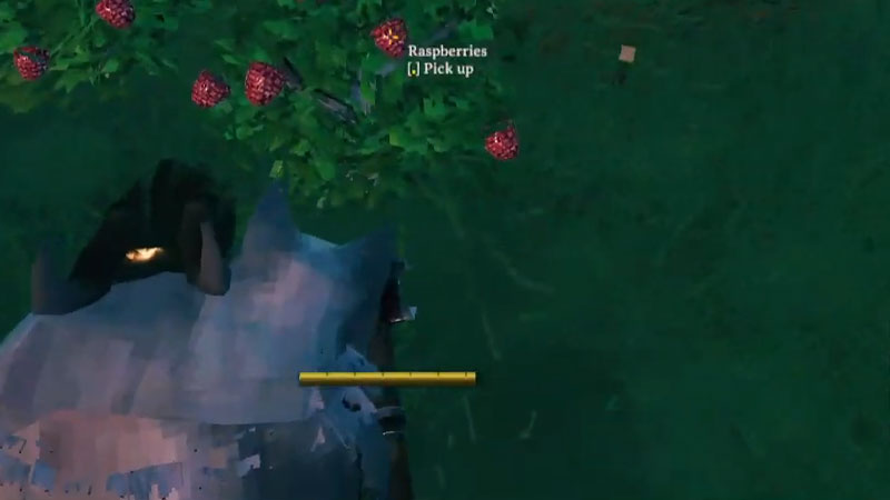 How to Plant Berries in Valheim
