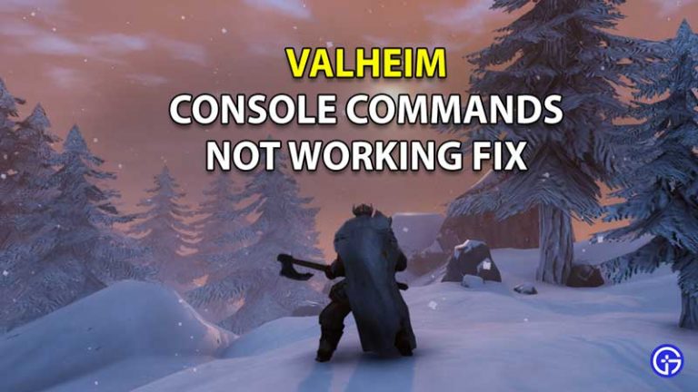 valheim-console-commands-not-working-fix-enable-f5-commands