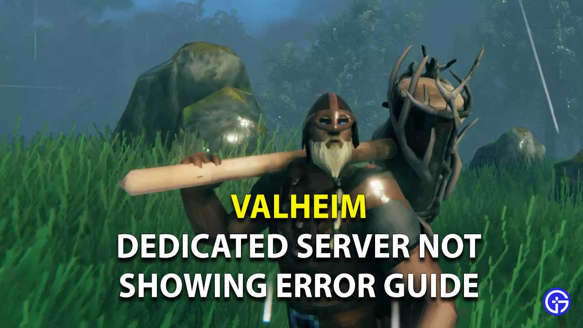 Valheim Dedicated Server Not Showing Guide