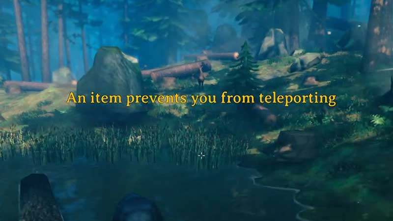 Valheim Ores and Items that Cannot be Teleported