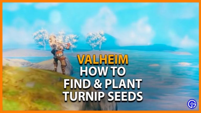 Valheim: How To Find & Plant Turnip Seeds To Make Turnip Stew