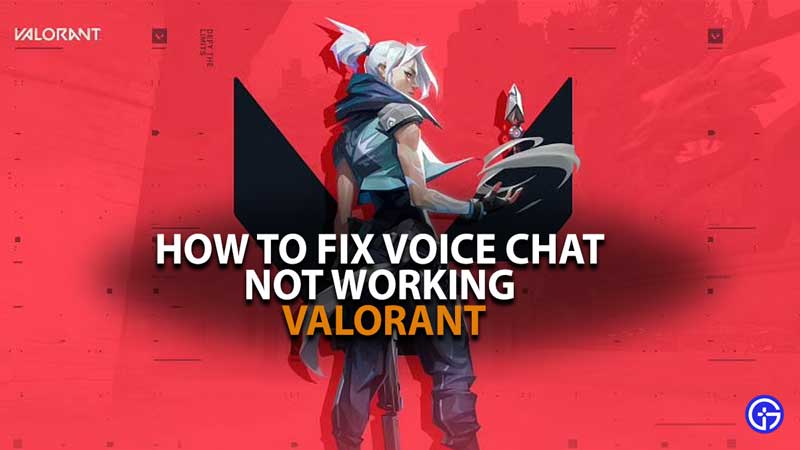 Valorant Voice Chat Not Working Glitch