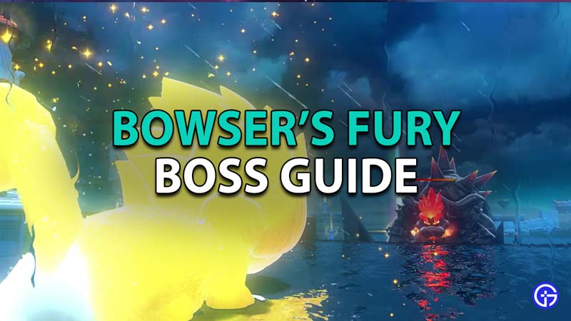 Bowser Boss Guide Bowser's Fury