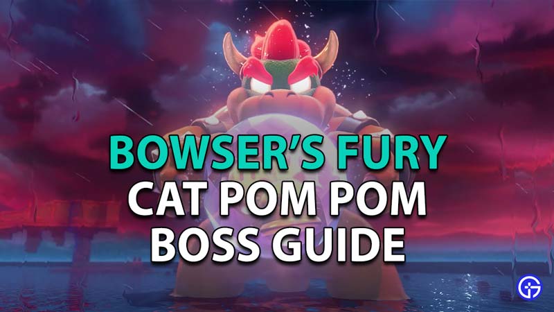 How to Beat Cat Pom Pom in Bowser's Fury