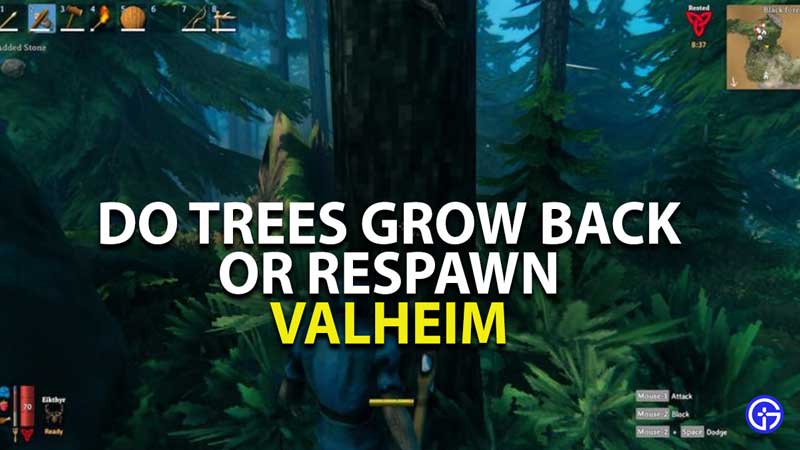 do trees grow back or respawn in valheim