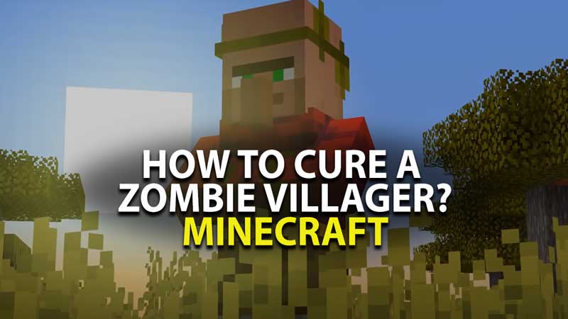 how to cure zombie villager minecraft