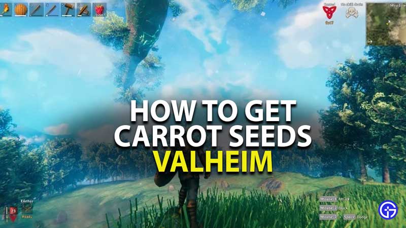 how to get carrot seeds in valheim