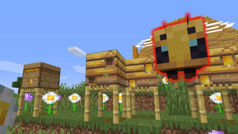 How to get Honey in Minecraft