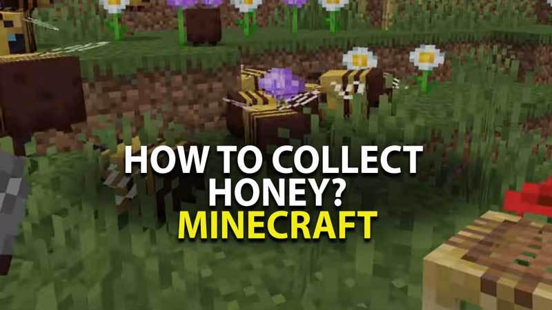 minecraft honey farming guide