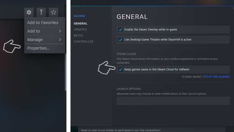 Enable Steam Cloud Save