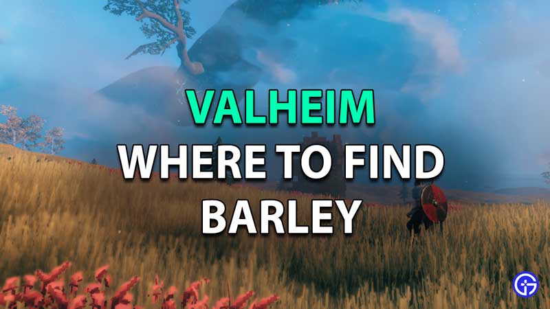 valheim barley how to find and use