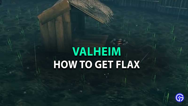 valheim flax
