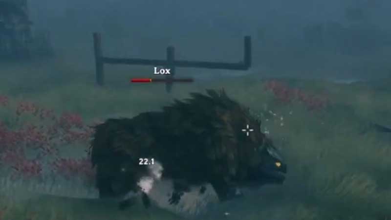 valheim loxes taming guide