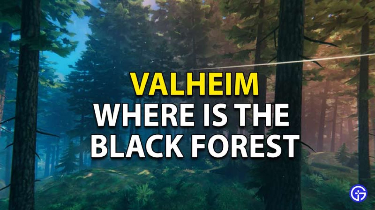 Valheim Black Forest Location Guide Where To Find Black Forest