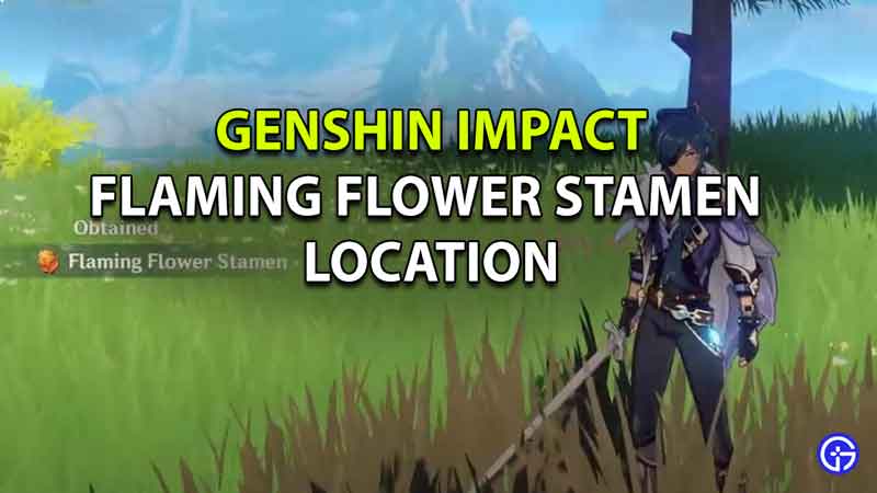 where to find Flaming Flower Stamen Location