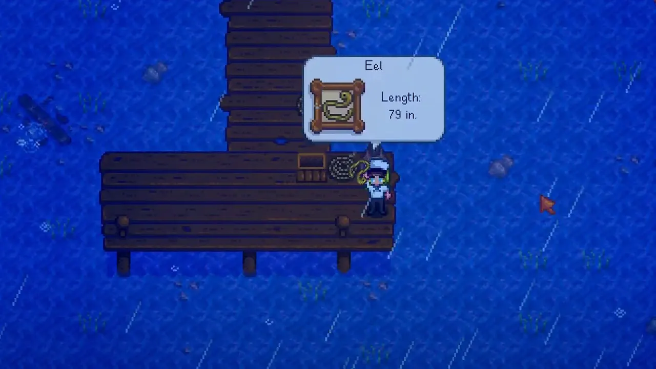 where to find and catch eel in stardew valley