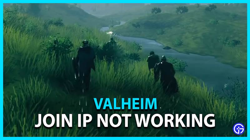 Valheim как узнать ip сервера