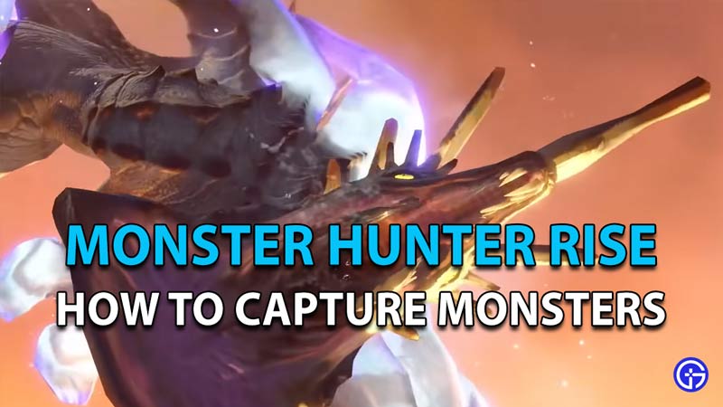 How to capture monsters in Monster Hunter Rise