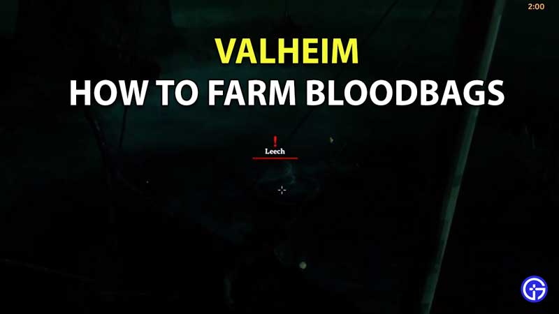 How To Farm Blood Bags valheim