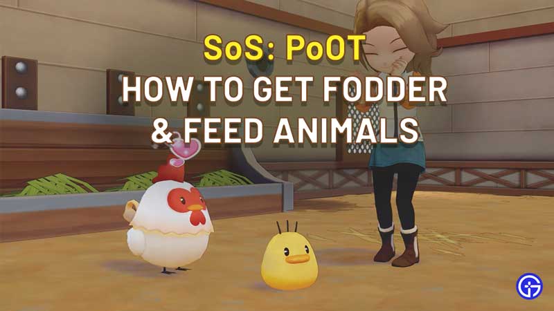 How To Get Fodder and Feed Animals In Story Of Seasons Pioneers Of Olive Town