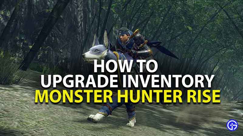 how to upgrade inventory in monster hunter rise