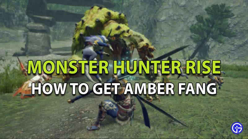 Monster Hunter Rise Amber Fang