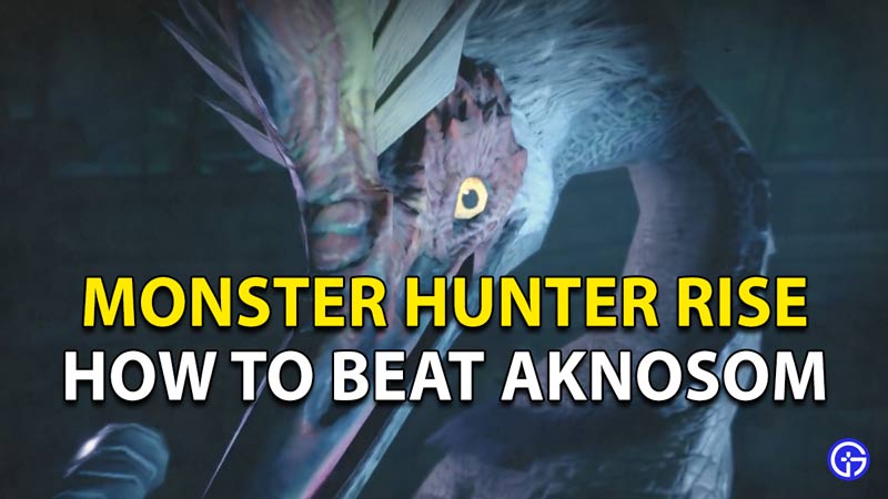 How to beat Aknosom in Monster Hunter Rise
