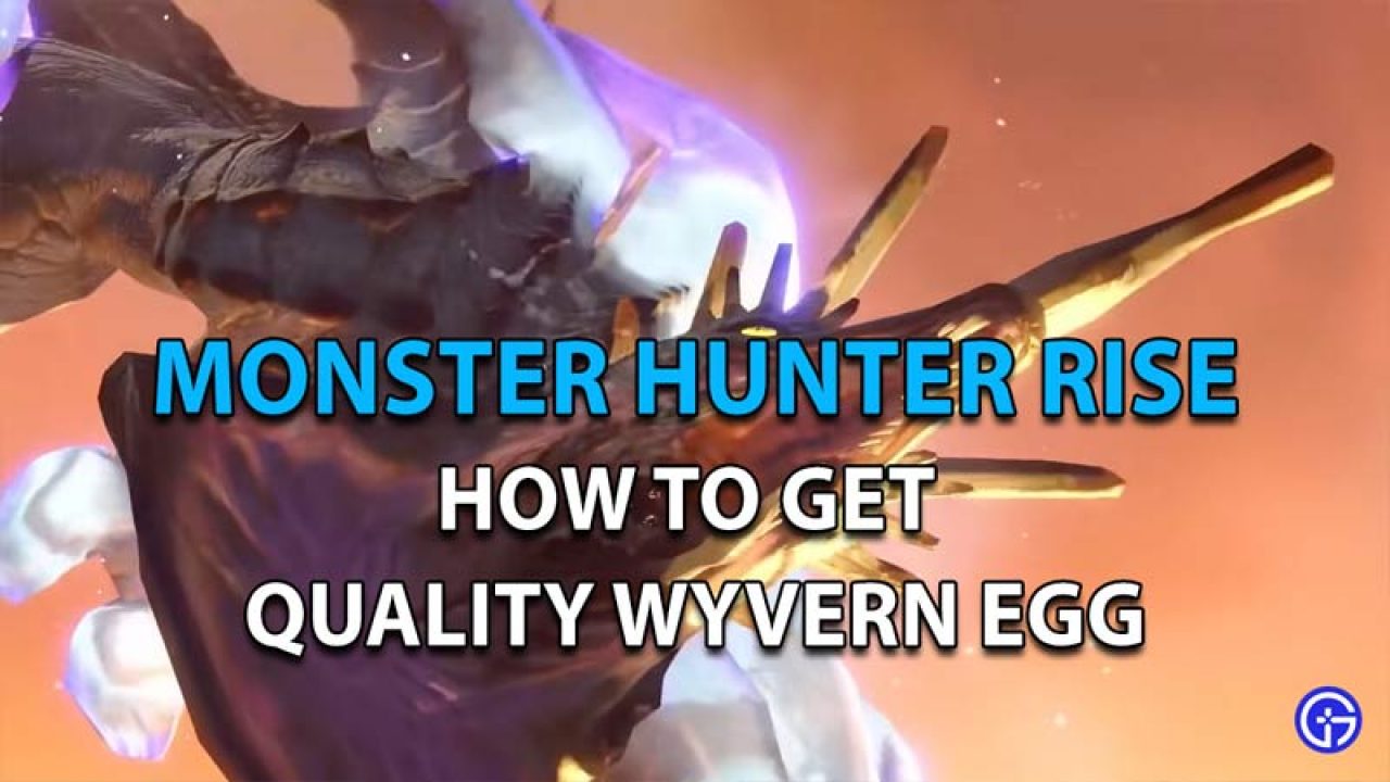 Monster Hunter Rise How To Get Quality Wyvern Egg In Mhr - how to get egg on roblox point